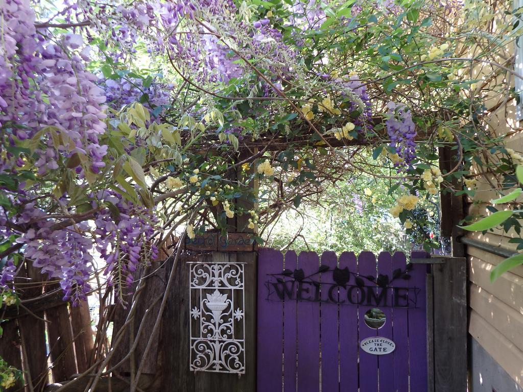 Bowral Road Art Gallery Bed And Breakfast Mittagong Exterior photo